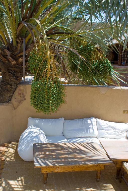 Shali Lodge Siwa Siwa Oasis Ngoại thất bức ảnh