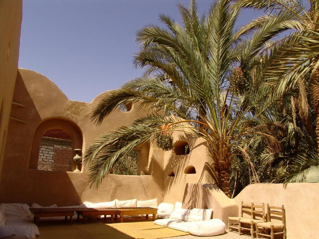 Shali Lodge Siwa Siwa Oasis Ngoại thất bức ảnh